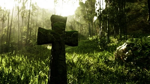 Decaying stone cross marking a final resting place in the jungle Stock-Footage 248736078