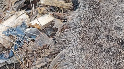 Decaying texture Stock Footage 347238628