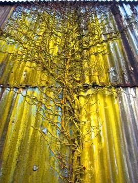 Decaying texture Stock Photos