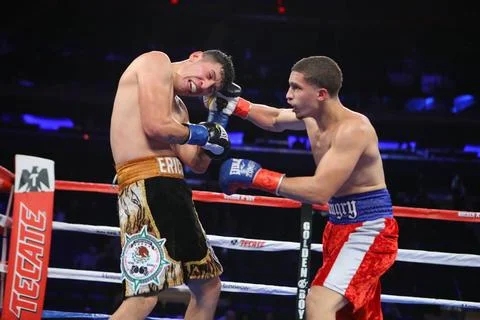  December 2 2017 Madison Square Garden MSG Fight Night Action Zachary Ocho... Stock Photos