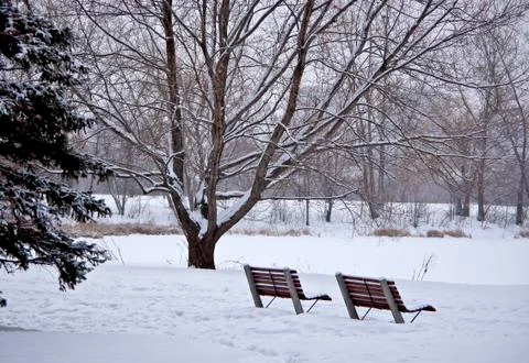 December benches Stock Photos