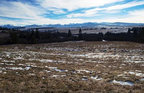 December landscape with the beginning of winter Stock Photos