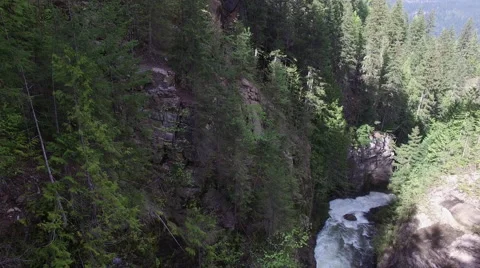 Decend on forest with river Video stock 63374163