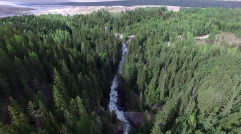 Decend to small river in forest Video stock 63350652