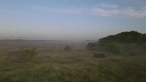 Decending-flight-into fog over trees 스톡 동영상 154421772
