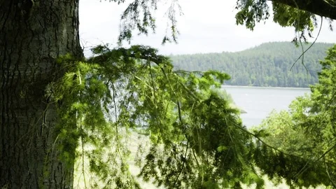 Deception Pass Bridge State Park Washington Stock Footage 73527164