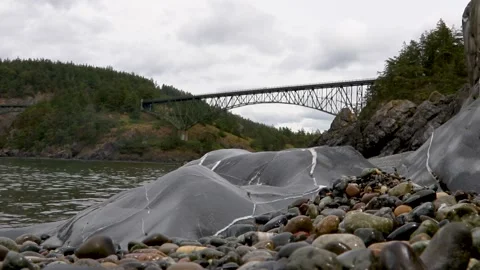 Deception Pass Bridge | State Park | Washington | HD Footage Stock Footage 209324161
