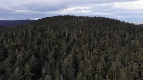 Deception Pass, Washington - Bridge and Bay Aerial Shots Stock Footage 131130946
