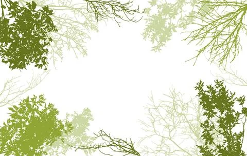 Deciduous and bare branches of trees silhouette, background. Vector illustr.. Stock Illustration