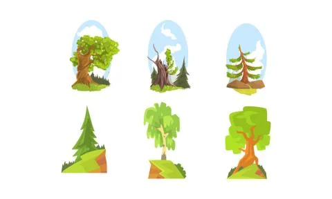 Deciduous and Coniferous Trees, Beautiful Summer Landscape Elements Vector 스톡 일러스트