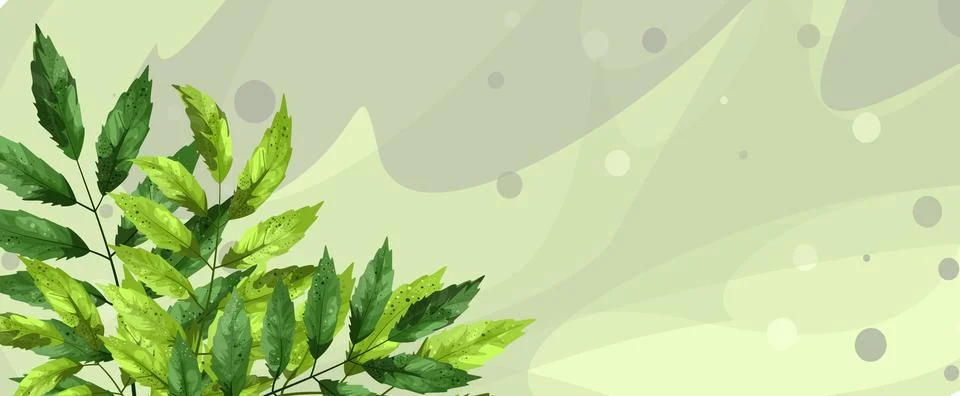 Deciduous background Stock Illustration