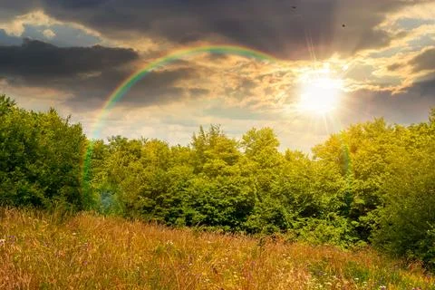Deciduous beech forest near meadow under dramatic sky Fotos de archivo