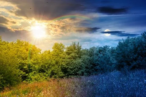 Deciduous beech forest near meadow under dramatic sky Foto stock