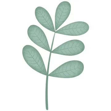 Deciduous branch watercolor Stock Illustration