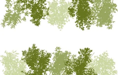 Deciduous branches of trees silhouette, background. Vector illustration Stock Illustration