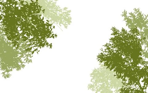 Deciduous branches of trees silhouette, background. Vector illustration Stock Illustration
