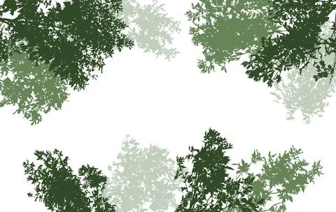 Deciduous branches of trees silhouette, background. Vector illustration Stock Illustration