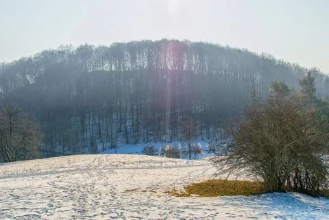 Deciduous forest in Bad Blankenburg Stock Photos