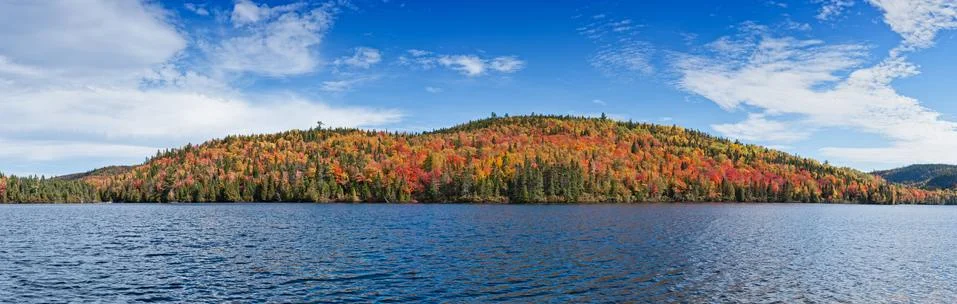 Deciduous forest reflection in an lake Stock Photos