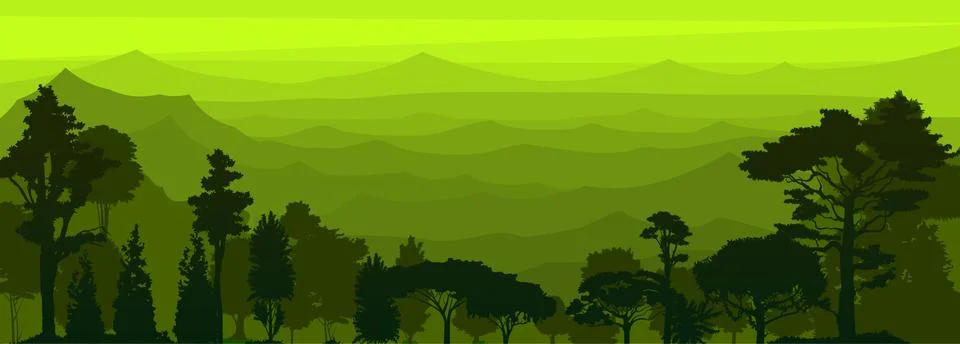 Deciduous forest silhouette. Vector. Summer landscape Jungle. Panoramic view. Illustrazione stock