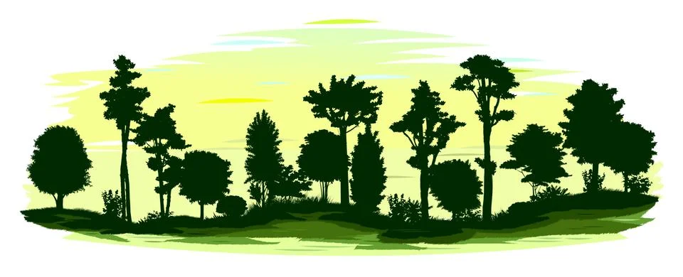 Deciduous forest silhouette. Vector. Summer landscape Jungle. Panoramic view. Stock Illustration