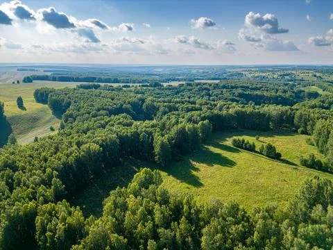 Deciduous forests of Siberia Stock Photos