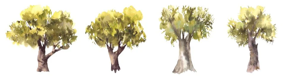 Deciduous green trees set Hand drawn watercolor illustration. Silhouettes of Stock Illustration