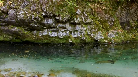 Deciduous leaves and mountain streams Stock Footage 145176213