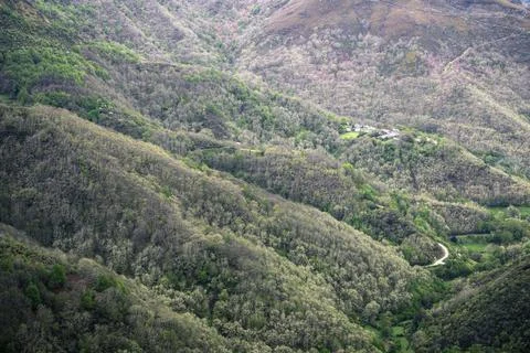 Deciduous native forests cover hills and valleys around a village Stock Photos