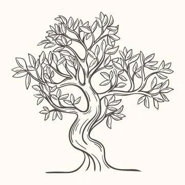Deciduous tree hand drawn isolated vector illustration Stock Illustration