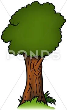 Deciduous Tree Stock Illustrationen
