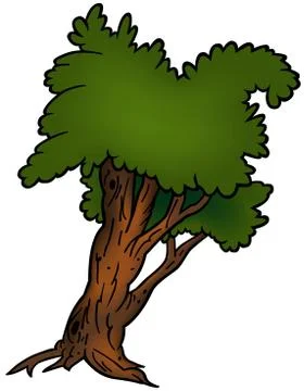 Deciduous Tree Stock Illustration