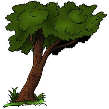 Deciduous Tree Stock Illustration