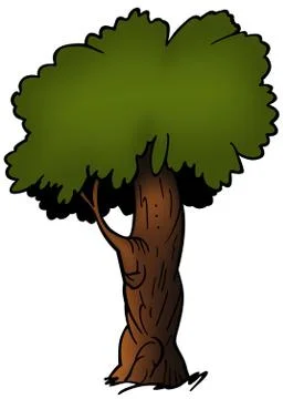 Deciduous Tree Stock Illustration