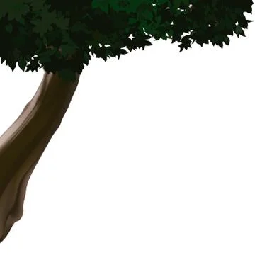 Deciduous Tree Stock Illustration
