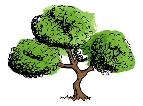 Deciduous tree sketched by hand Stock Illustration