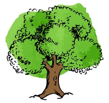 Deciduous tree sketched by hand Stock Illustration
