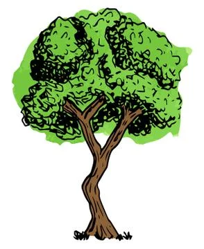 Deciduous tree sketched by hand Stock Illustration