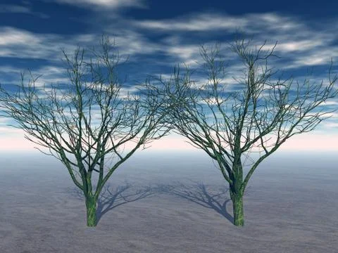 Deciduous tree with a spreading canopy in winter Stock Illustration
