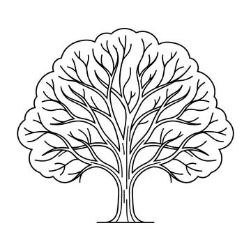 Deciduous tree stands for environmental reports and education Illustration