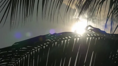 Deciduous Trees And The Sun - Fast Motion Stock Footage 130731055