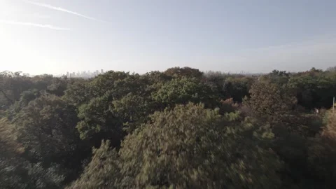 Deciduous trees in park, cityscape with modern tall skyscrapers 스톡 동영상 167927080