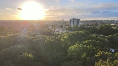 Deciduous trees in park, road intersection in urban neighbourhood Video stock 164810227