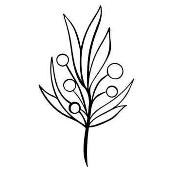 Deciduous twig with berries in doodle style vector isolated illustration Stock Illustration