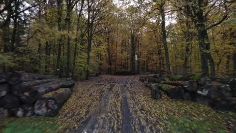 Decision to be made crossroads, forest divide path, 2 way split road, Stock Footage 282162521