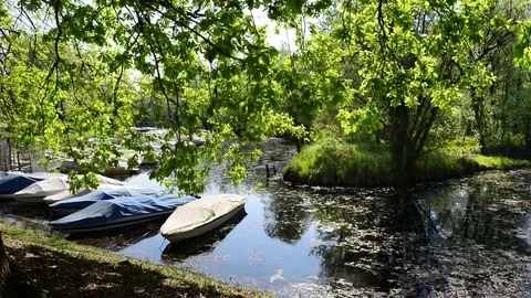 Deck along the river Stock Footage 74208545