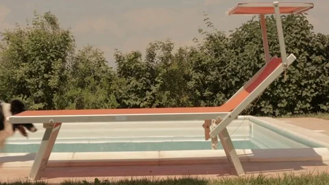 Deck chair with border collie dog passing behind Stock Footage 76268053