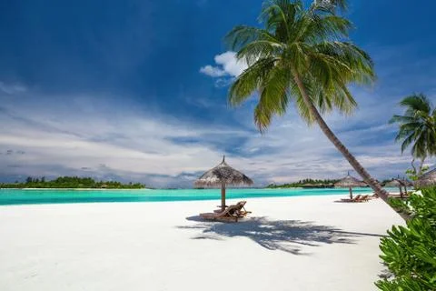 Deck chairs under palm trees on a tropical beach of Maldives Stock Photos