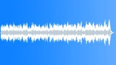 Deck the Halls (organ) Stock Music