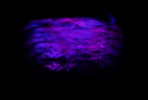 Deck projection 스톡 동영상 514569